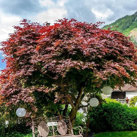Gastehaus Hornegger Guest house Mayrhofen