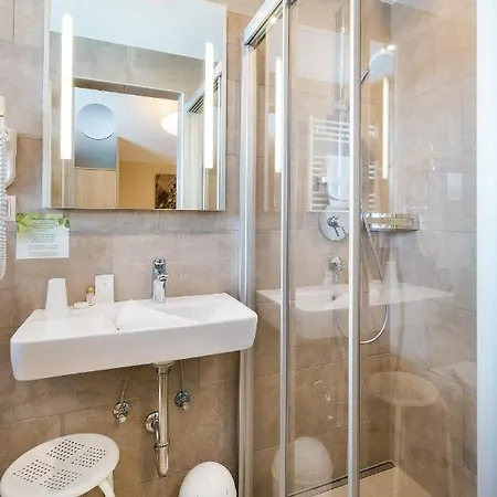 Gaestehaus Hornegger 3* Mayrhofen