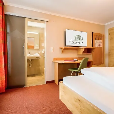 Gaestehaus Hornegger Casa de hóspedes Mayrhofen