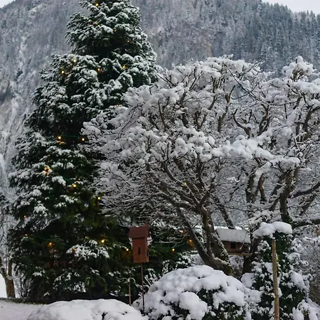 Gastehaus Hornegger 3* Mayrhofen