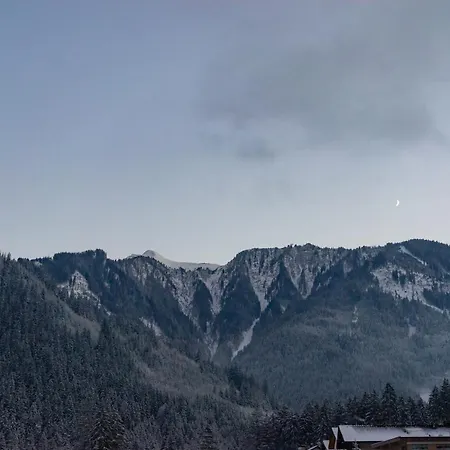 Konukevi Gaestehaus Hornegger 3*