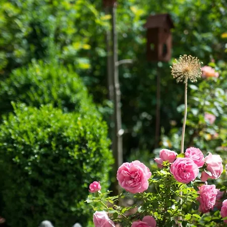 Gaestehaus Hornegger Casa de hóspedes Mayrhofen