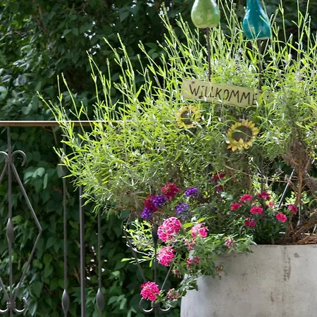 Gæstehus Gaestehaus Hornegger