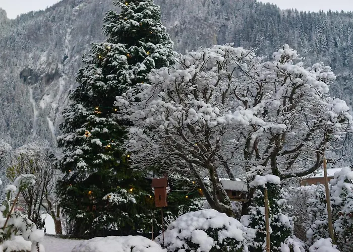 Gaestehaus Hornegger 3* Mayrhofen