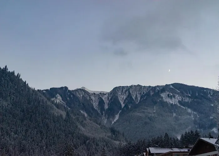 Gæstehus Gaestehaus Hornegger 3*