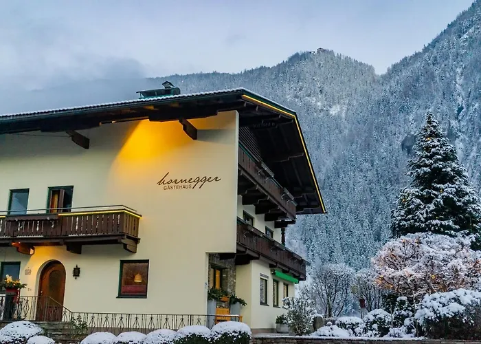 게스트하우스 Gaestehaus Hornegger